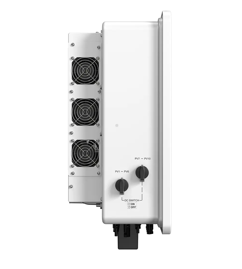 S6-GC3P(23-36)K-LV-ND